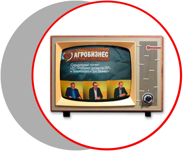 Смотрите на канале «Про Бизнес»﻿ и YouTube-канале «1С-Фабрика проектов ERP»﻿ авторскую передачу «Агробизнес».